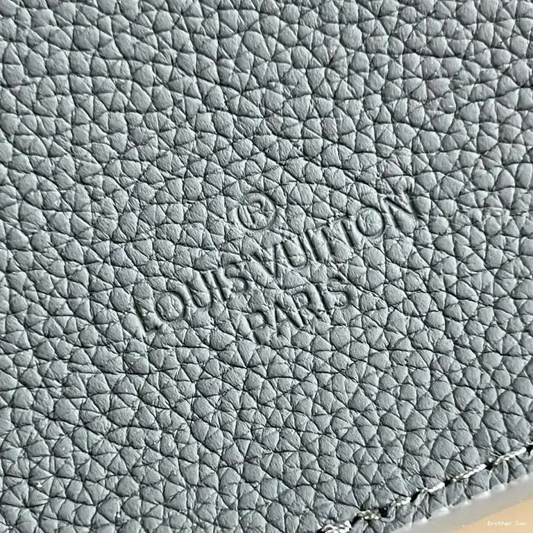 Brother Sam Yupoo 2204YA0100 LV Bag 0804